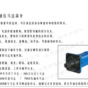 BM6無(wú)軸承系列馬達