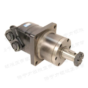 BM6車(chē)輪系列馬達